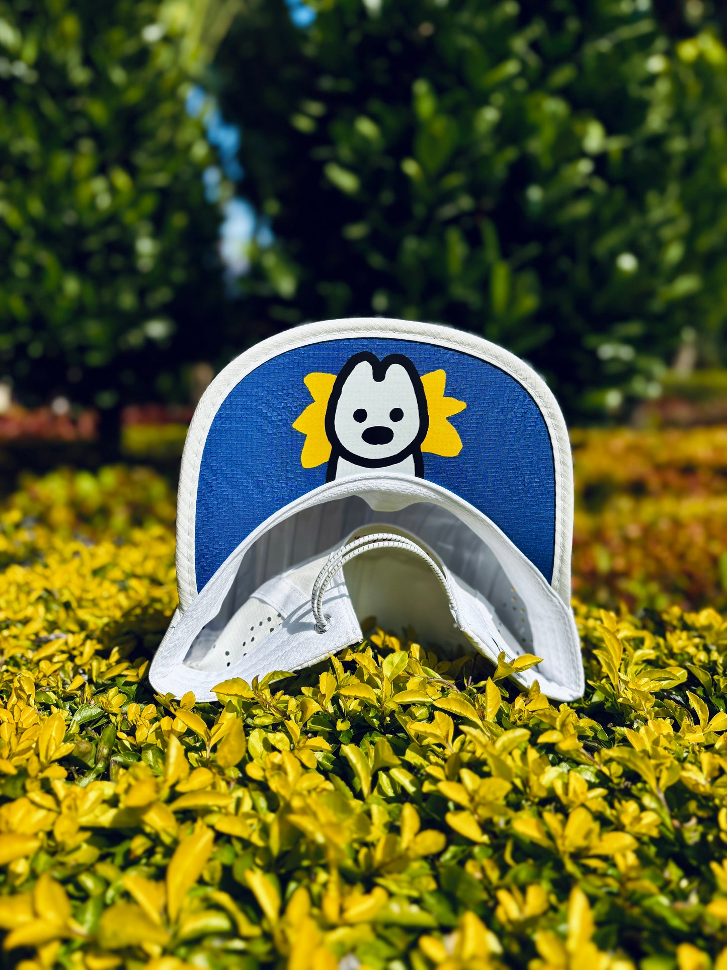 matsui x PAAU Quick-dry "Run with Me" Running Cap